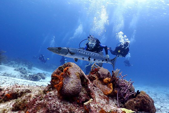 Tour image 3