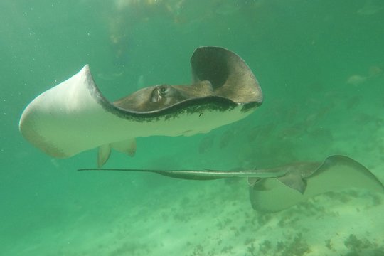 Tour image 8
