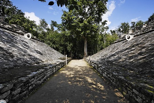 Tour image 7