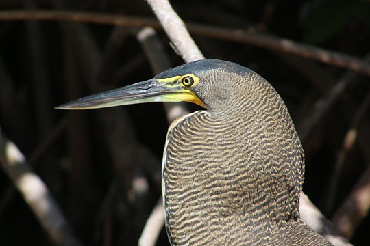 Tour image 4