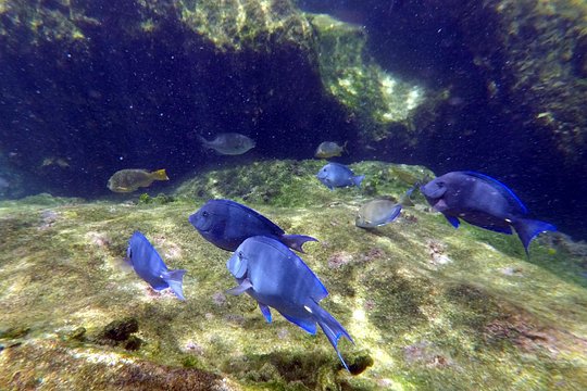 Tour image 9