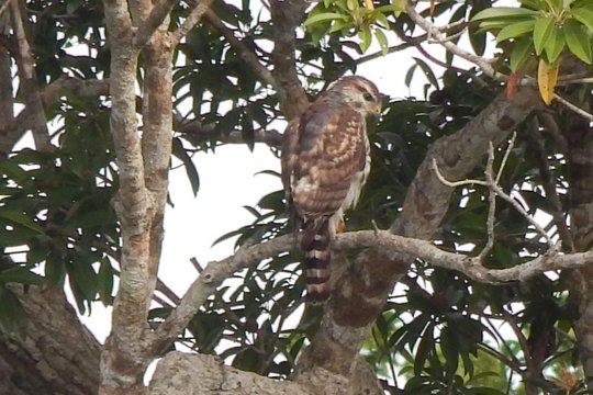 Tour image 11