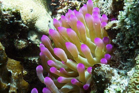 Tour image 6