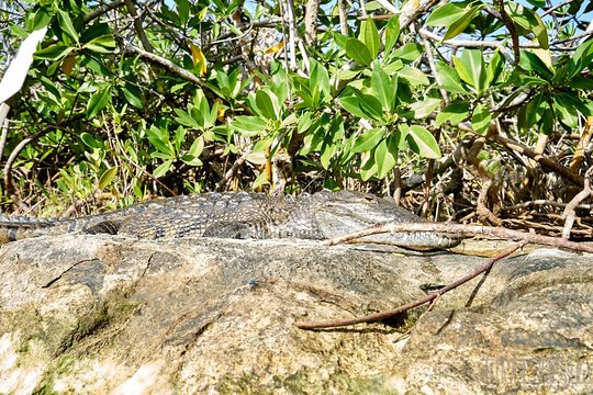 Tour image 6