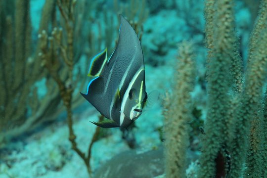 Tour image 6