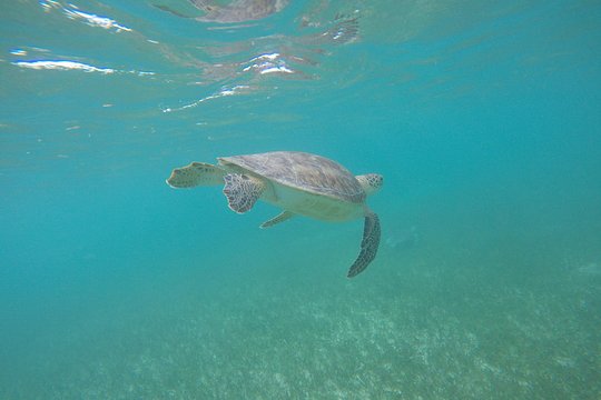 Tour image 10