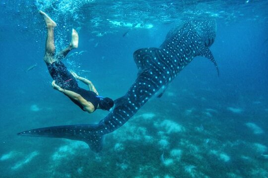 Tour image 4
