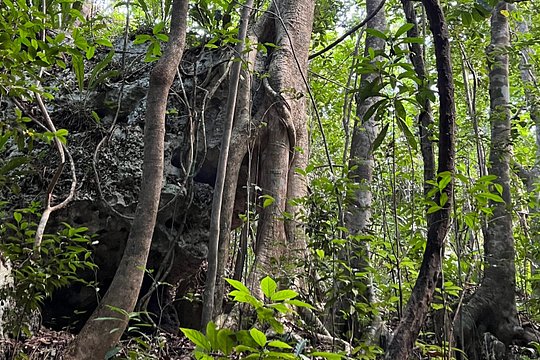 Tour image 14